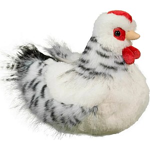 Salty Black & White Hen