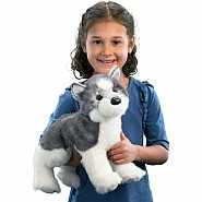 Sasha the Husky