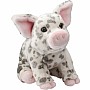 Pauline the Spotted Pig