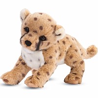 Cheetah Cub, Chillin'
