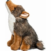 Rambler Coyote