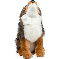 Rambler Coyote