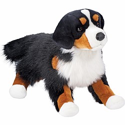 Alps Bernese Mountain Dog, Floppy