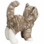 Zipper Grey Tabby
