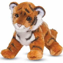 Pan Bengal Tiger Cub