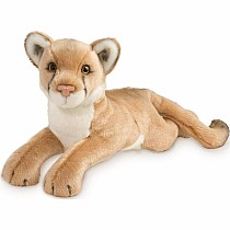 Kelso Mountain Lion