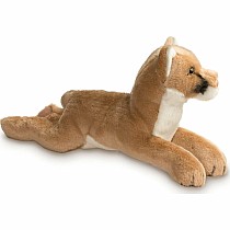 Kelso Mountain Lion