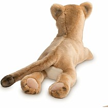 Kelso Mountain Lion