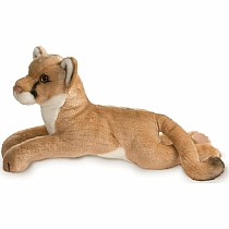 Kelso Mountain Lion