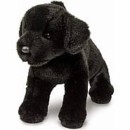 Brewster Black Lab