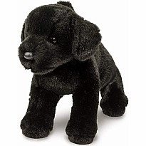 Brewster Black Lab