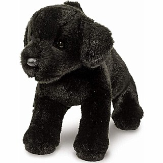 Brewster Black Lab