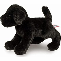 Brewster Black Lab