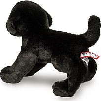Brewster Black Lab