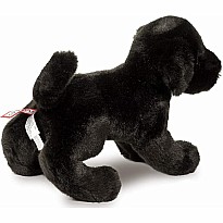 Brewster Black Lab