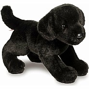 Brewster Black Lab