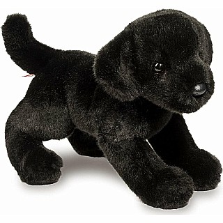 Brewster Black Lab