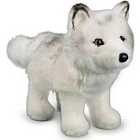 Snow Queen Arctic Fox