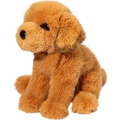 August Golden Retriever