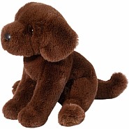 Zoom Chocolate Lab
