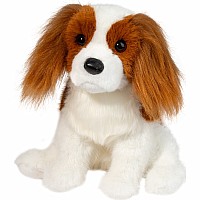 Kingsley Cavalier King Charles Spaniel