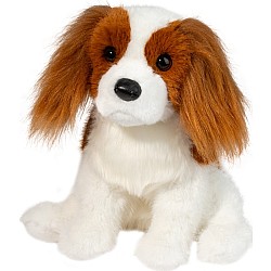 Kingsley Cavalier King Charles Spaniel