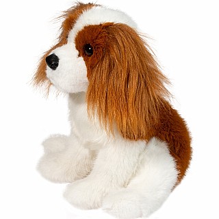 Kingsley Cavalier King Charles Spaniel