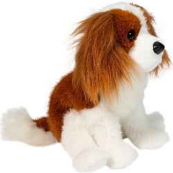 Kingsley Cavalier King Charles Spaniel