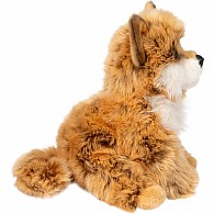Dove Pomsky