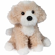 Darcy Goldendoodle