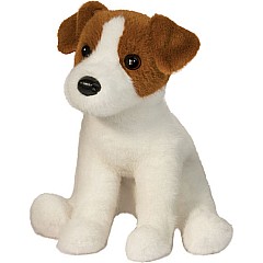 Fiona Jack Russell Terrier