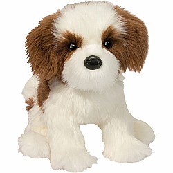 Farren Shih Tzu