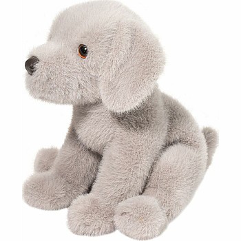 Argento Silver Lab Pup