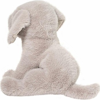 Argento Silver Lab Pup