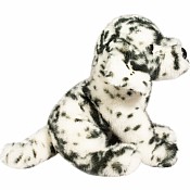 Mackay Dalmatian Floppy