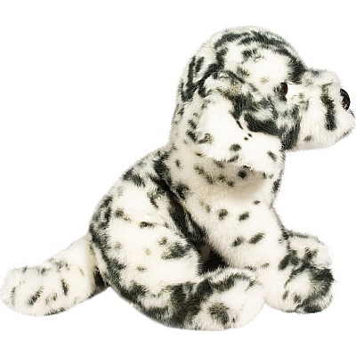 Mackay Dalmatian Floppy