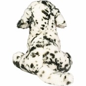 Mackay Dalmatian Floppy