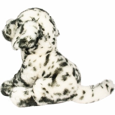 Mackay Dalmatian Floppy