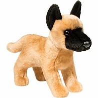 Klaus Belgian Malinois