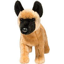 Klaus Belgian Malinois