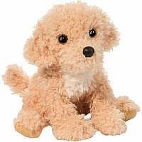 Noodle Goldendoodle