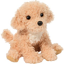 Noodle Goldendoodle