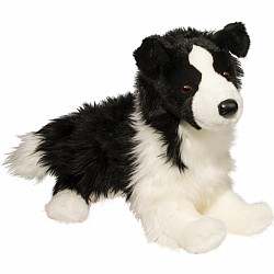 Chase Border Collie