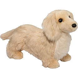 Haisley Golden Dachshund