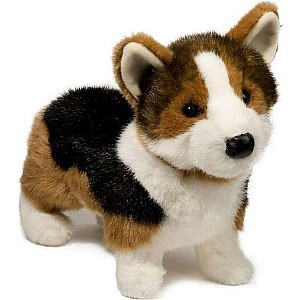 Kirby Tri-Colored Corgi
