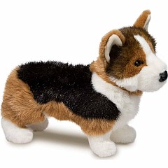 Kirby Tri-Colored Corgi
