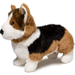 Kirby Tri-Colored Corgi