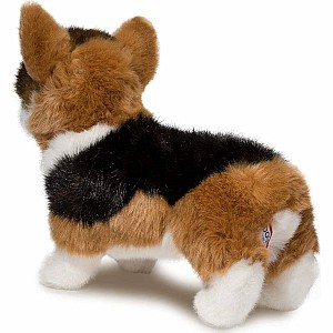 Kirby Tri-Colored Corgi