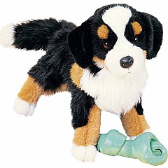 Trevor Bernese Mountain Dog