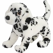 Winston Dalmatian